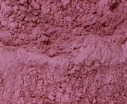 Dehydrated Red Onion Powder, Size : 80 To 100 Mesh, 100 To 120 Mesh