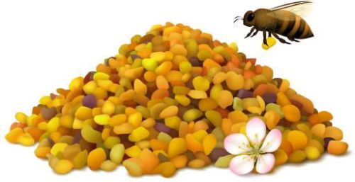 Bee Pollen Grains, For Clinical, Personal, Purity : 95%