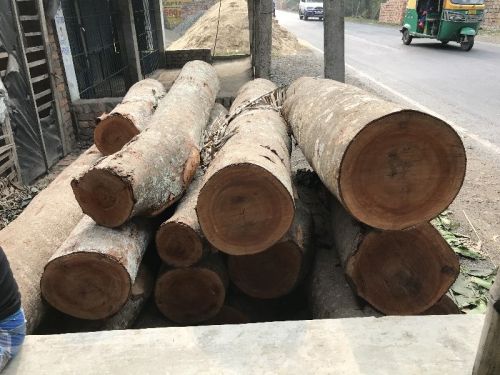 Natural Hardwood Square 37kg Matte Lambu Wood Logs, For Furniture