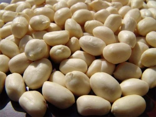 Manufacturer Blanched Peanuts, For Direct Consumption, Industrial, Packaging Size : 25 Kg