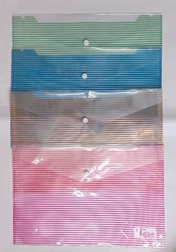 My Clear Bag Document Folder (Lining Print)