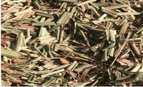 Natural Lemon Grass, Color : Green