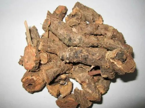 Organic Pakhanved Herb For Medicinal