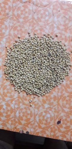 Organic SOYABEAN SEEDS, Style : Dried