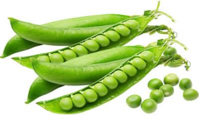 Fresh Green Peas, For Good Nutritions