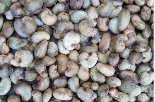 Cashew Nuts, Packaging Type : Plastic