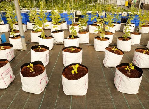 Coir Grow Bags, For Growing Plants, Feature : Eco Friendly