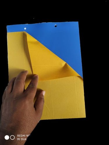 Blue Sticky Insect Adhesive Pheromone Trap, Feature : Non Chemical