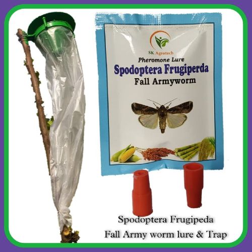 Spodopter Frugipreda- Fall Army Worm Pheromone Lure