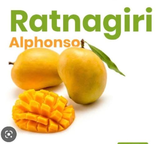 Common Ratnagiri Alphonso Mango, For Direct Consumption, Packaging Type : Corrugated Box, Wooden Carton