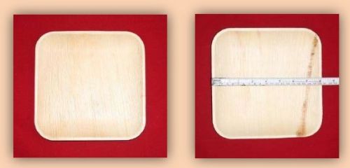 SD 08 Areca Leaf Square Deep Plates