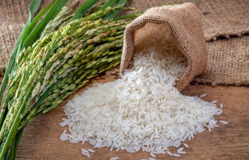 Organic Non Basmati Rice, Packaging Type : Plastic Sack Bags