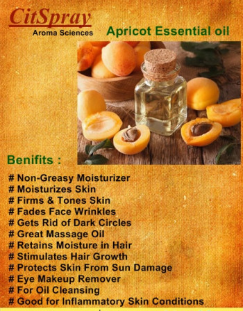 Organic Apricot Oil