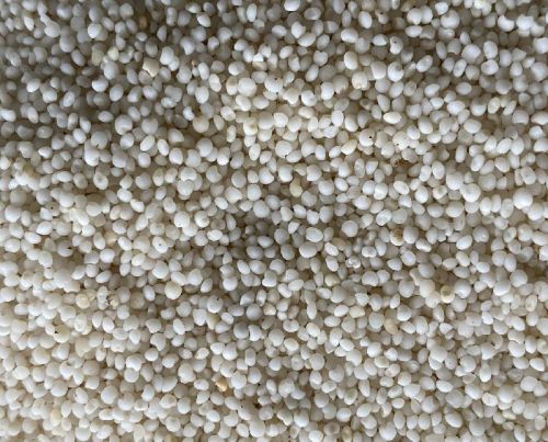Organic Polished Barnyard Millet Seeds, Speciality : Rich Source Of Nutrients