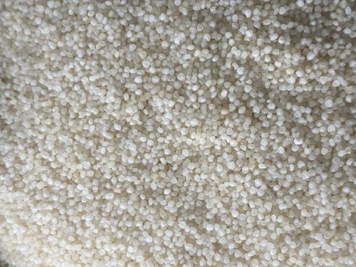 Organic Polished Little Millet Seeds, Packaging Type : Plastic Bag