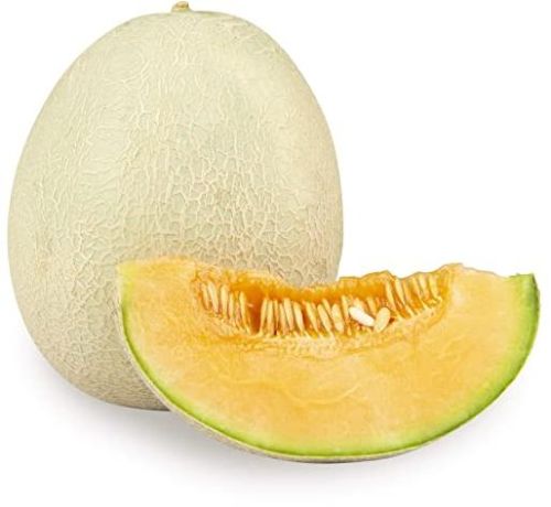 Organic Fresh Muskmelon, For Human Consumption, Certification : FSSAI Certified