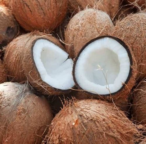 Fresh Brown Coconut