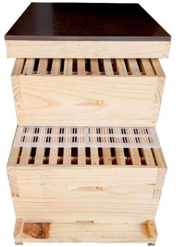 LANGSTRONTH WITH SUPER BEEHIVE BOX, Width : 18 Inches
