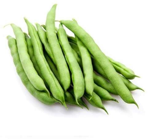 Organic Fresh Green Beans, Shelf Life : 3-7Days