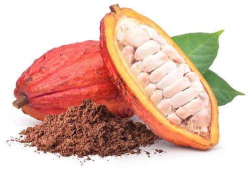 Cocoa Bean, Packaging Type : Brown, Certification : ISO 9001:2008