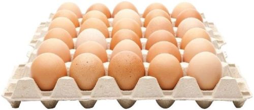 Fresh Table Eggs, Packaging Type : Brown, White for Industrial