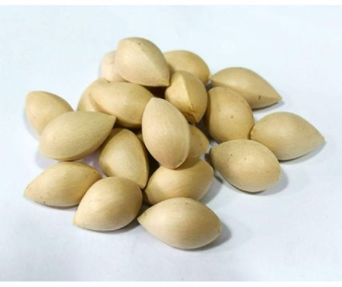 Gingko Nut, Packaging Type : Plastic Bottles, Plastic Container