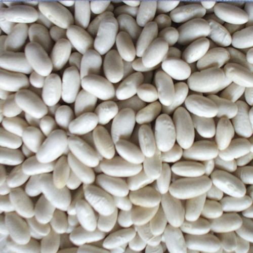 Organic White Kidney Beans, Packaging Size : 50gm, 100gm, 500gm