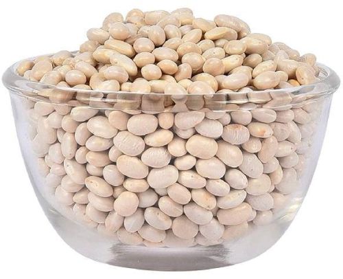 Organic Navy Beans, Packaging Size : 50 Kg, Packaging Type : White