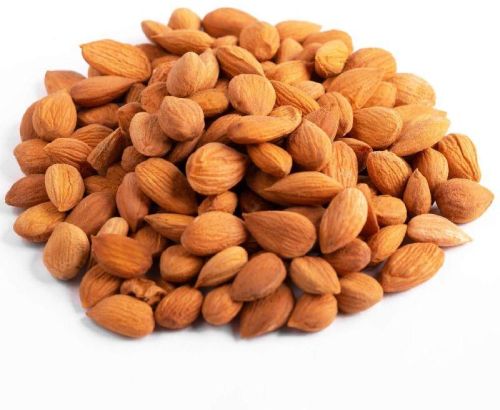 Apricot Kernels