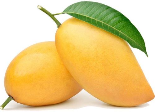 Fresh Mango,fresh Mango, Color : Yellow