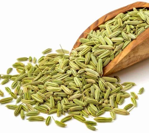 Green Raw Organic Fennel Seeds, For Cooking, Certification : FSSAI Certified