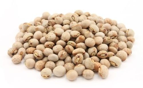Raw Organic Pigeon Peas, Color : Light Brown