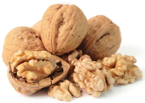 Brown Hard Shelled Walnuts, Purity : 100%