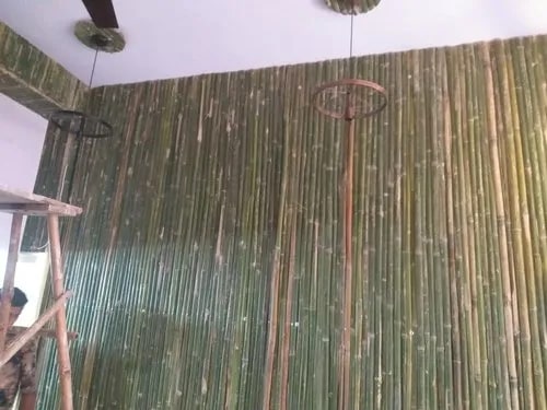 Green Square Plain Polished Bamboo Wall Panels, Size : Standard