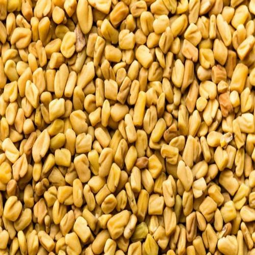 Yellow Fenugreek Seeds, For Cooking, Packaging Size : 25 Kg