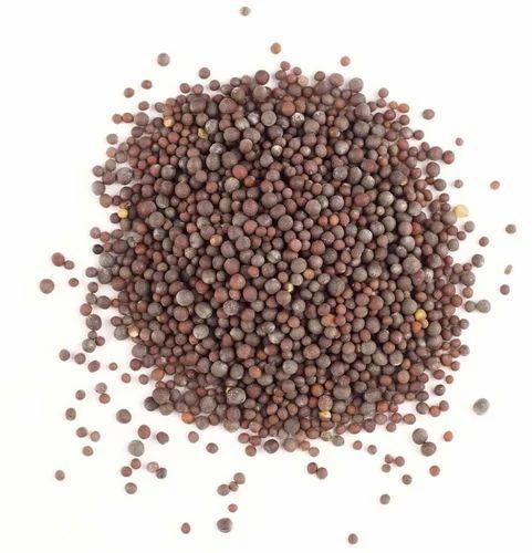 Mustard Seeds, For Spices, Cooking, Packaging Size : 25 Kg