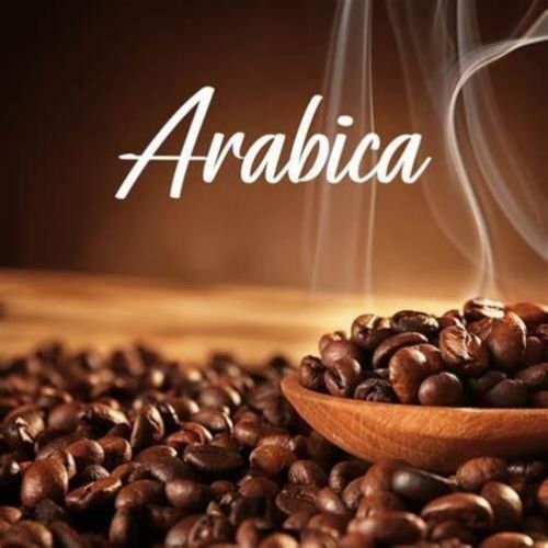 Organic Arabica Coffee Beans, For Beverage, Purity : 99%
