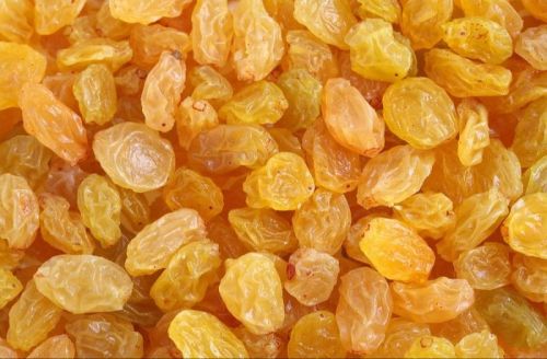 Organic Golden Raisins, For Herbal Formulation, Cooking, Certification : Fssai