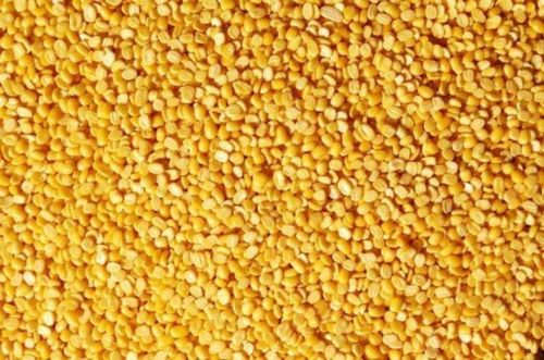 Moong Dal Dhuli, For Snacks, Home, Restaurant, Hotel, Style : Dried