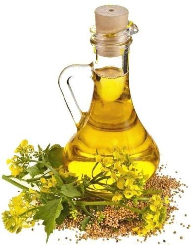 Mono Saturated Rapeseed Oil, For Cooking, Packaging Type : Can (Tinned), Tin, Plastic Bottle, Glass Bottle