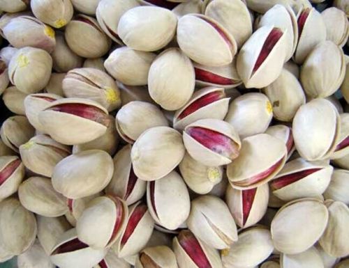 Light Green Round Pistachio (Fandoghi), For Human Consumption, Certification : FSSAI