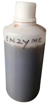 Biological Enzymes