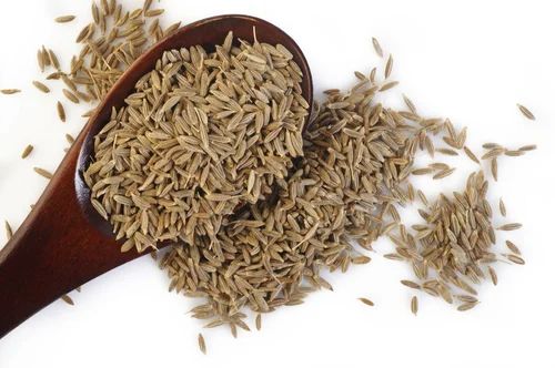 Organic Cumin Seeds, Shelf Life : 18 Months