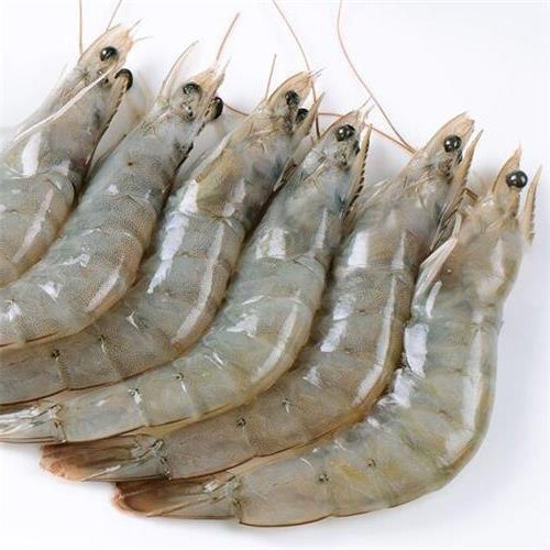 Headless Vannamei Shrimp, For Household, Mess, Restaurant, Packaging Type : Vaccum Packed