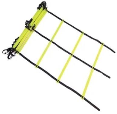Metal Polished Economical Dual Agility Ladder