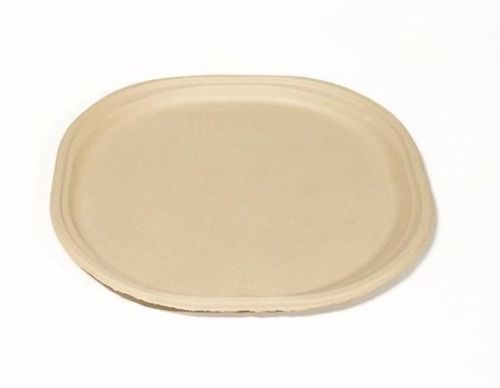Rectangular Plain 9 Inch Bagasse Plate, For Serving Food, Color : Brown