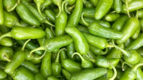 Fresh Bullet Green Chilli, For Cooking Use, Shelf Life : 10 Days