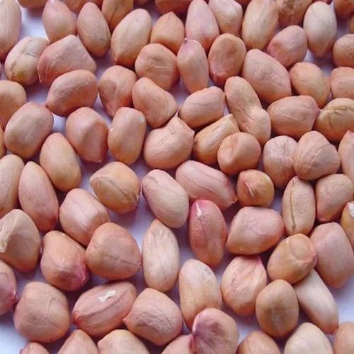 Brownish Natural Java Peanuts, For Human Consumption, Packaging Type : Plastic Packets