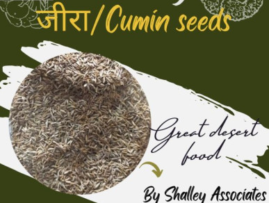 Organic Cumin Seeds, Packaging Type : Paper Box, Plastic Box, Plastic Packet, Plastic Pouch, Plastic Bag