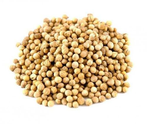 Brown Organic Coriander Seeds, For Cooking, Certification : FSSAI Certified